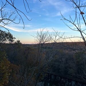 Meet your Posher, Lexi